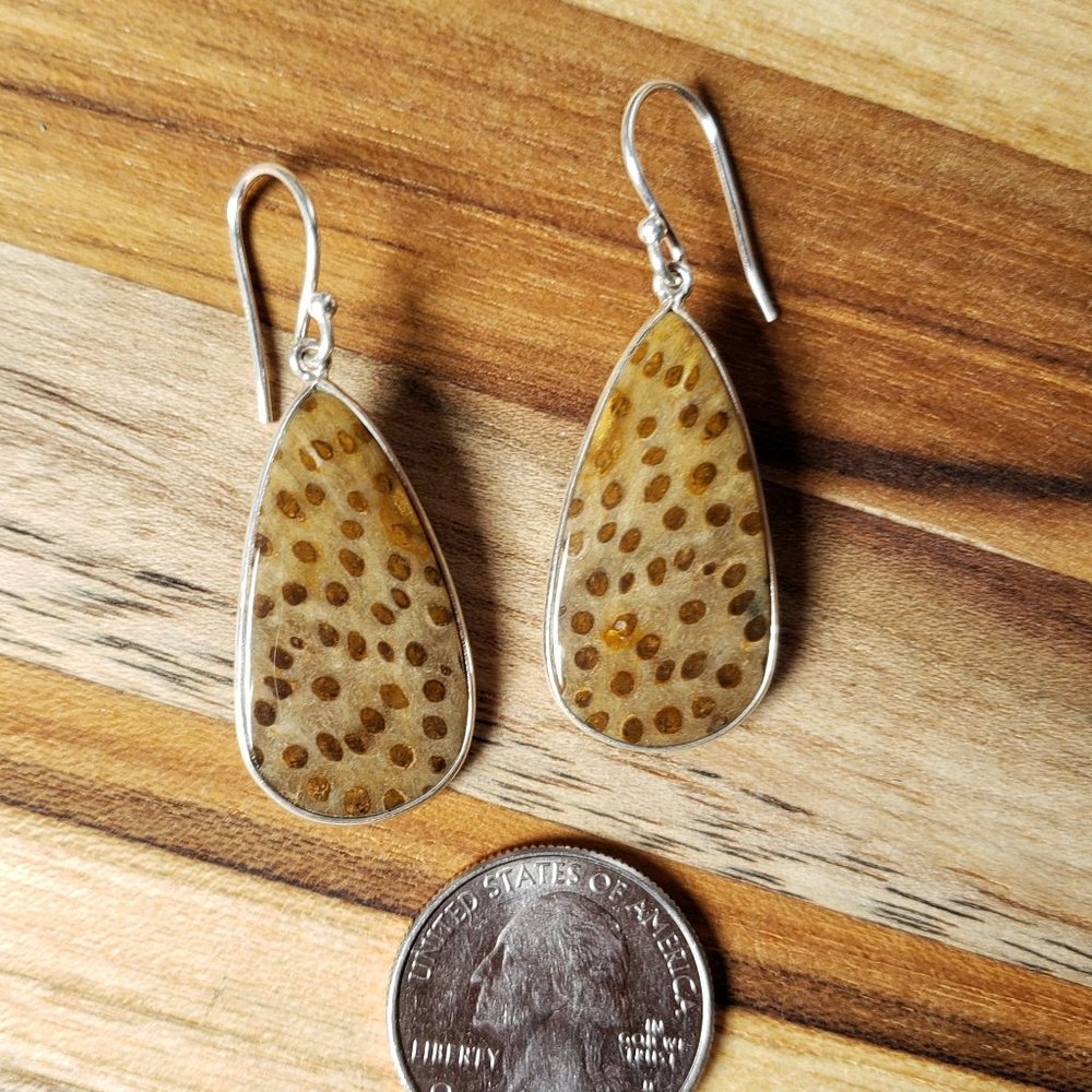 Petrified Palm Wood Fossil Slab Earrings with 925 Sterling Silver Ear Wires